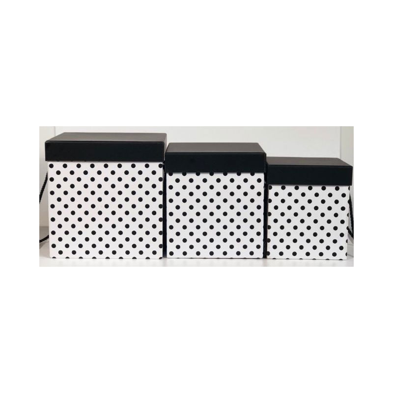 BOX26L-B-01 3 Piece Square Dotted Box - Image 1