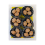 Eggs In A Nest