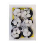Eggs In A Nest - Image 2