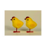 Chicks