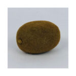 Kiwi fruit
