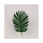 Fern Palm Leaf