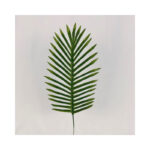 Fern Palm Leaf