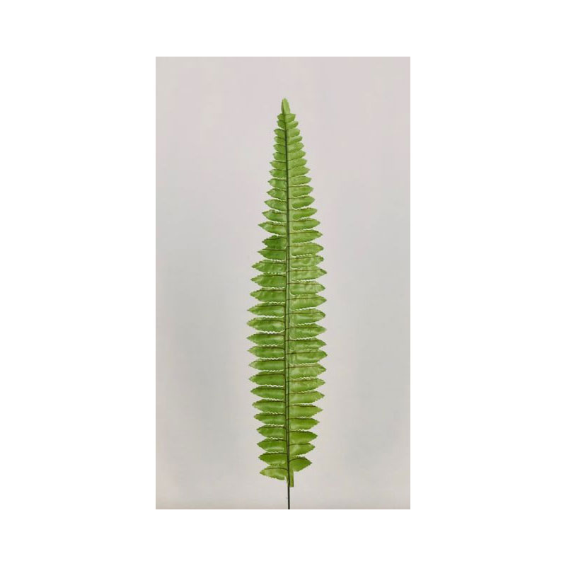 LEA13J Single Fern Leaf - Image 1