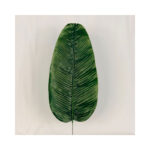 Large Single Elephant Ear Leaf