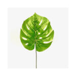 Elephant Ear Leaf With Holes