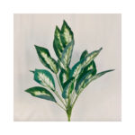 Leaf Bush - Image 2
