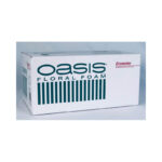Oasis economy pack