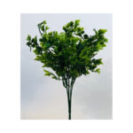 Parsley Bush