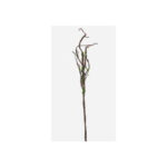 Stick Stem With Moss