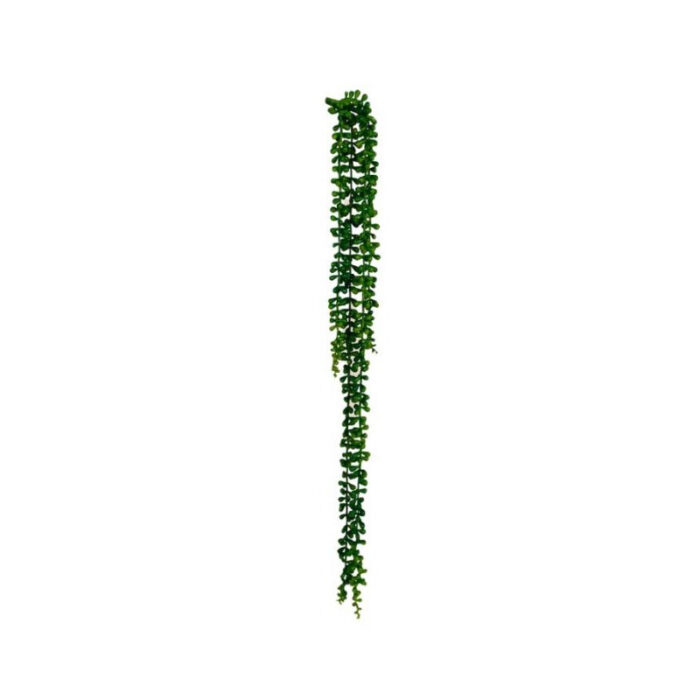 Bean String - Super Floral Johannesburg