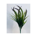 Cat's Tail Bush - Image 2