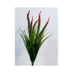 Cat's Tail Bush - Image 3