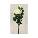 Rose Bush - Image 2