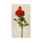 Rose Bush - Image 5