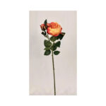 Rose Bush - Image 4