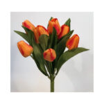 Tulip Bush - Image 2
