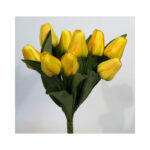 Tulip Bush - Image 4