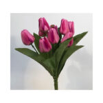 Tulip Bush - Image 3
