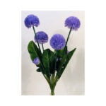 Pom Pom Bush - Image 4