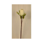 Large Protea - Image 2