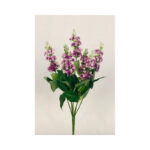 Delphinium Bush