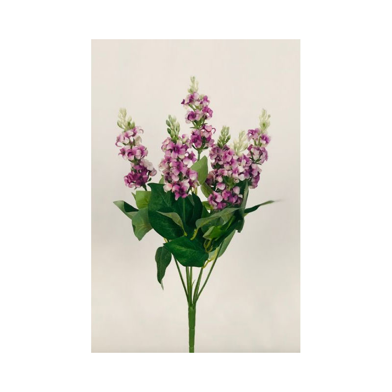 PLA88P-01 Delphinium Bush - Image 1