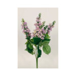 Delphinium Bush - Image 2