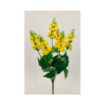 Delphinium Bush - Image 4