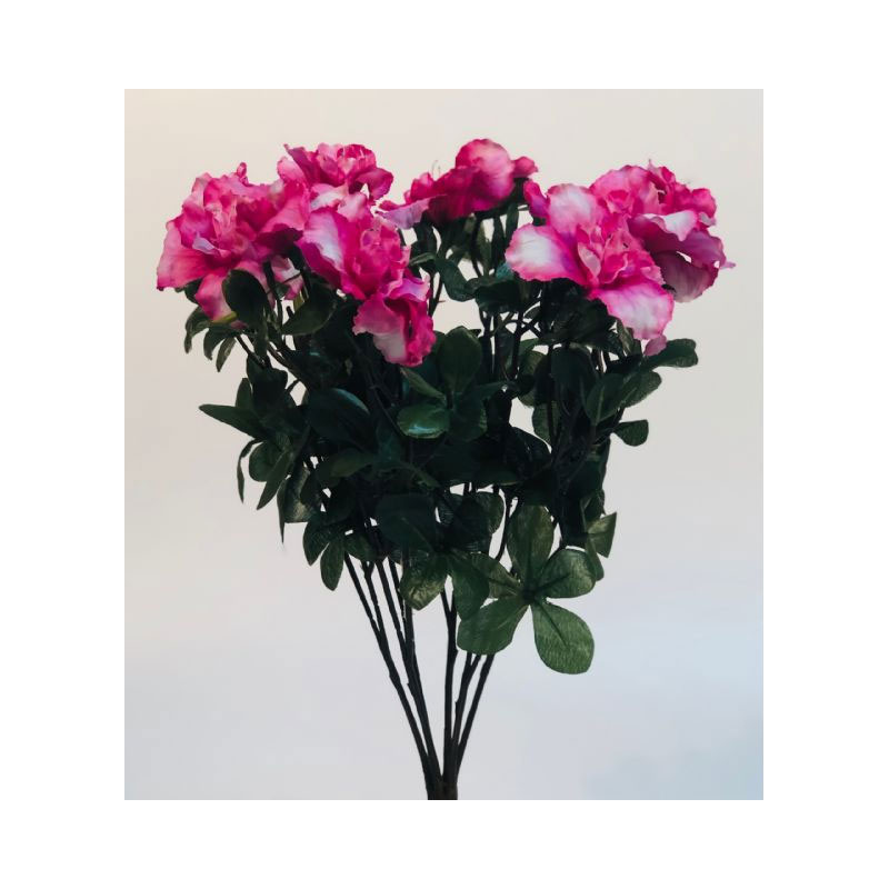 PLA88Q-01 Cyclamen Bush - Image 1