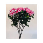 Cyclamen Bush - Image 2