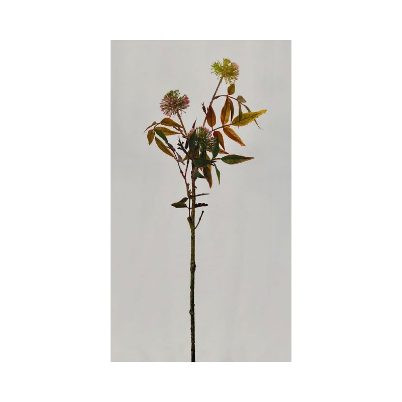 PLA88T-01 Pin Cushion Flower Bush - Image 1