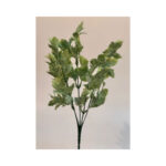 Holy Leaf Bush - Image 2