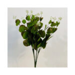 Eucalyptus Bush - Image 6
