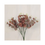 Eucalyptus Bush - Image 5