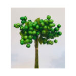 Mini Pomegranate Bush - Image 2