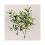 Olive Spray