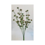 Rice Flower Bush - Image 2