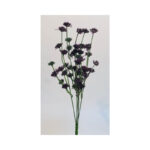 Rice Flower Bush - Image 4