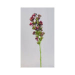 Acorn bush - Image 4