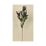 Eucalyptus Bush - Image 5