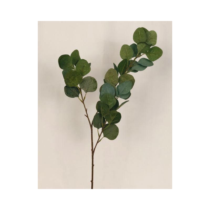 PLA89Y Eucalyptus Bush - Image 1