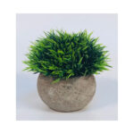 Grass Bush In A Pot