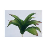 Long Leaves