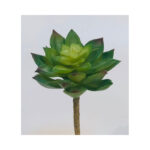 Flat Leaf