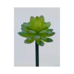 Flat Leaf