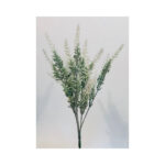 Lavender Bush