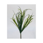 Grass Bush