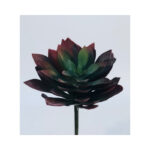 Arrow Leaf