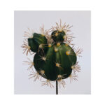 Thorn Cactus